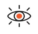 Vision Icon